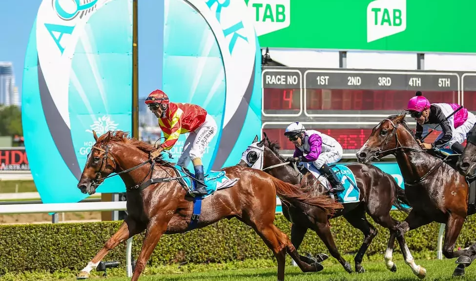 gold-coast-turf-club-race