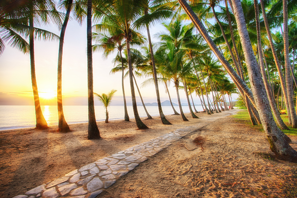 palm cove queensland