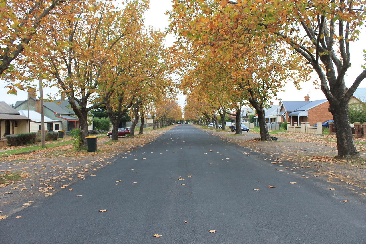 autumn