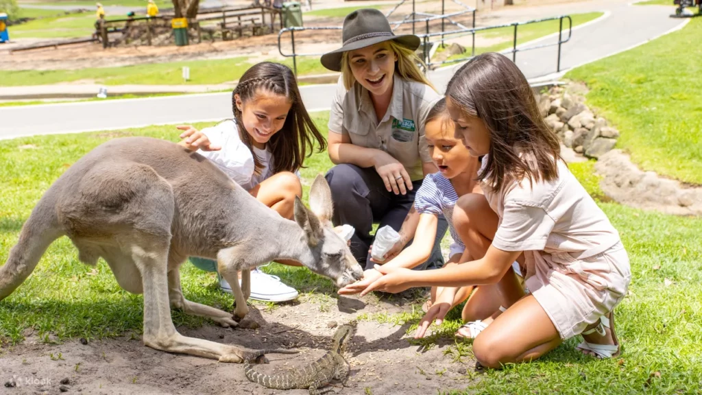 Currumbin Wildlife Sanctuary - Gold Coast