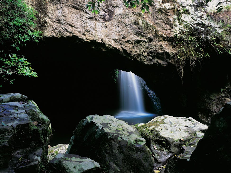 Springbrook Natural Bridge - Gold Coast