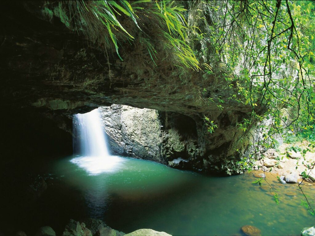 Springbrook Natural Bridge Walk - Gold Coast