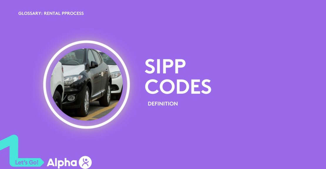 SIPP Codes - glossary page - image