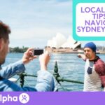 Local Insider Tips for Navigating Sydney’s Roads - Blog