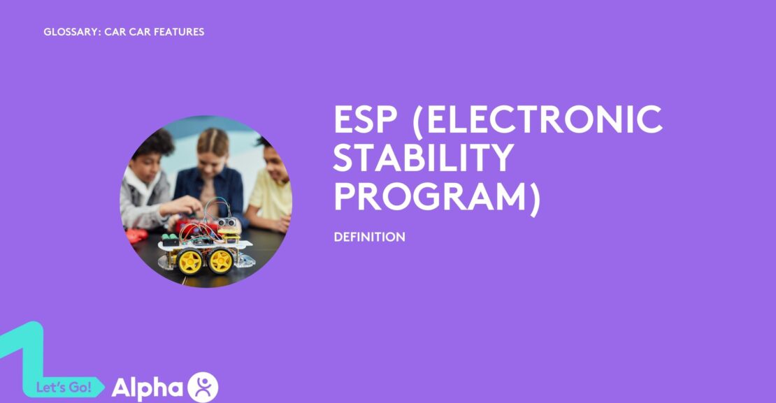 ESP (Electronic Stability Program) - glossary page - image