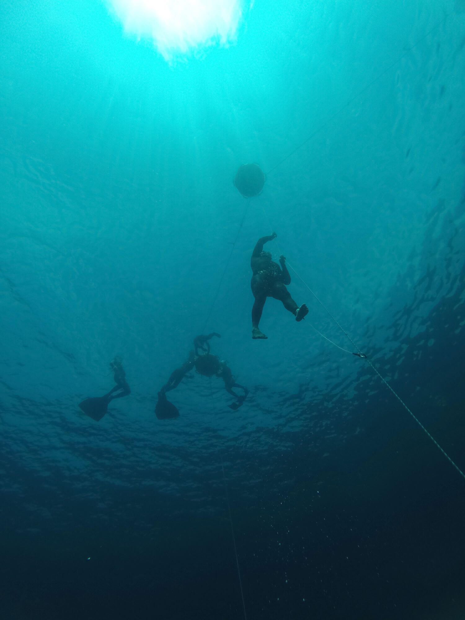 3-divers-from-below