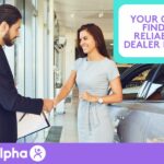 Finding a Reliable Car Dealer in Sdney Tips for Choosing - Blog