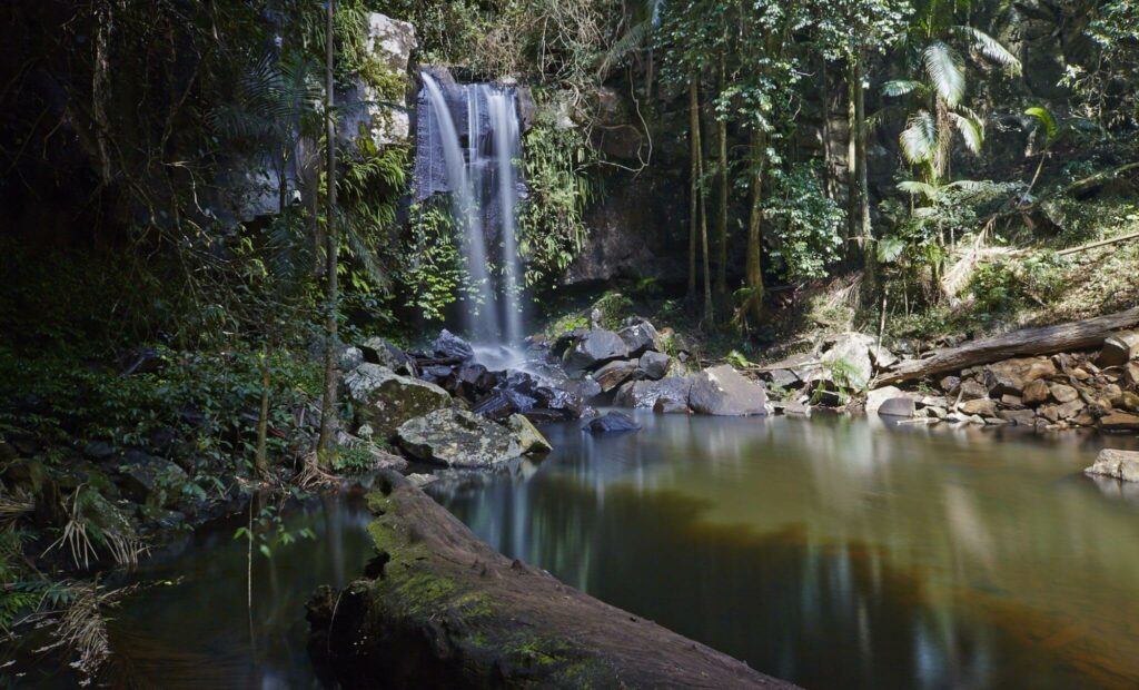 Gold Coast - Tamborine National Park