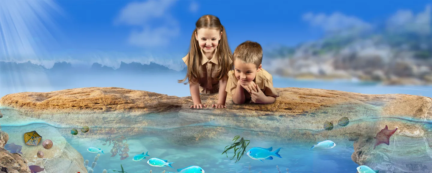 SEA-LIFE-Sydney-Aquarium-New-Rockpool-Zone