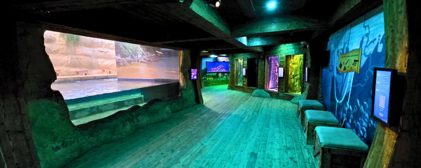SEA-LIFE-Sydney-Aquarium-South-Coast-Shipwreck