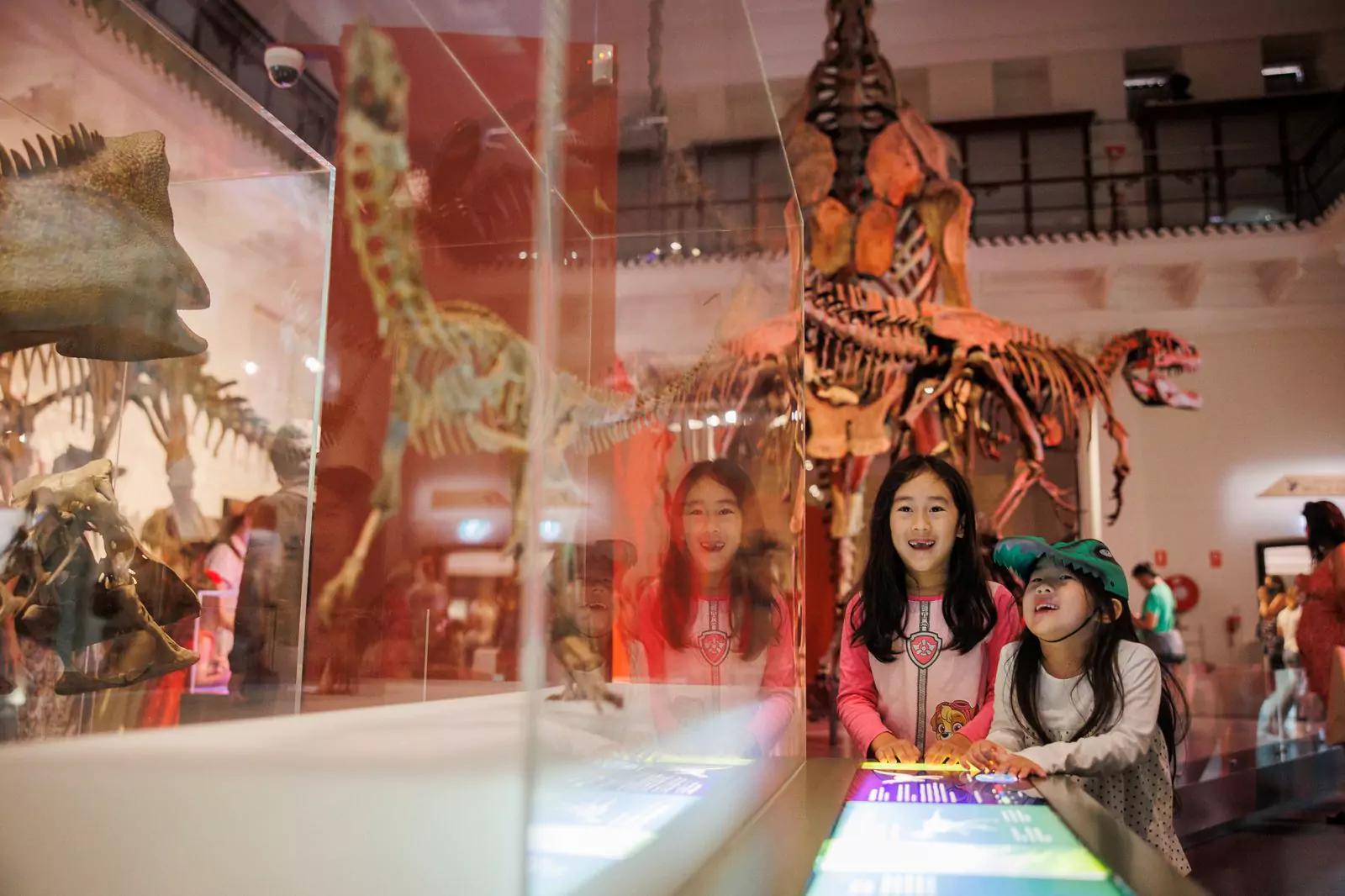 australian-museum-dinasaur-gallery