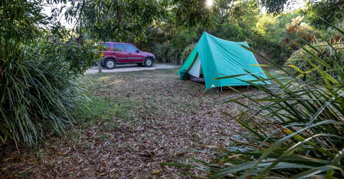 mount-cougal-springbrook-national-park-currumbin-valley