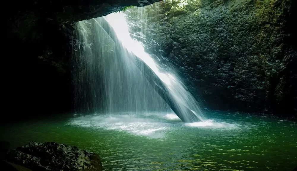 natural-bridge-circuit-springbrook-national-park-springbrook-green