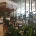 the-botanist-view-brisbane-airport
