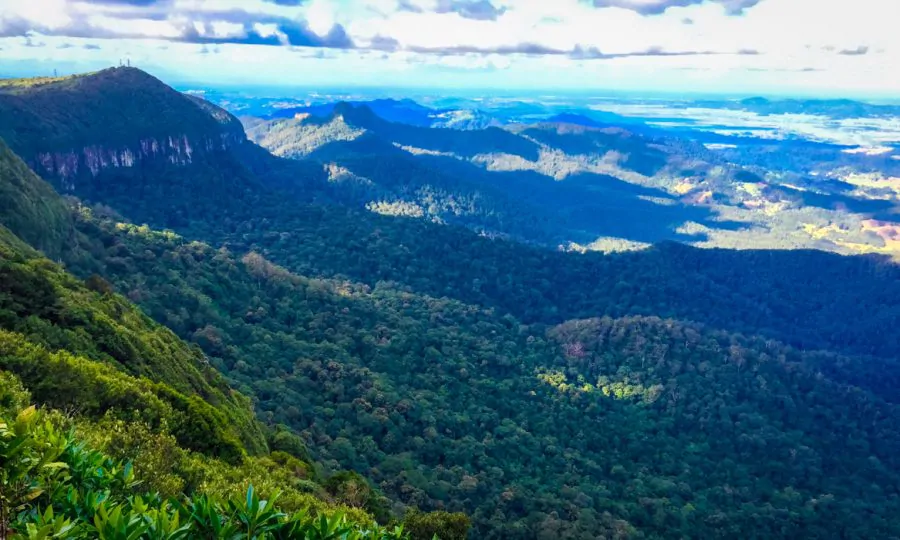 Gold-Coast-Hinterland-Springbrook-Lookout-900x540