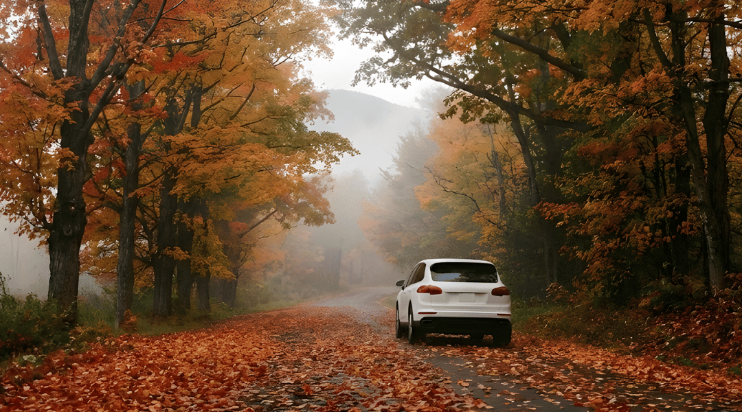 SUV driving down a country lane lined with large deciduous trees (maples and oaks) with vibrant red and orange autumn leaves. The road is covered in fallen leaves.